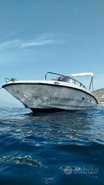 Barca open Andromeda 6.35 Mercury pro 115