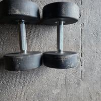 manubri 15 kg msports semi nuovi