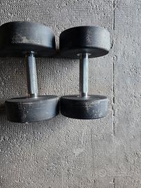 manubri 15 kg msports semi nuovi