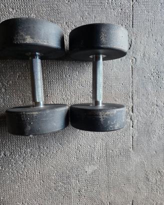 manubri 15 kg msports semi nuovi