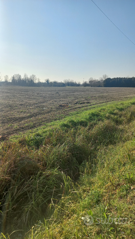 Terreno agricolo