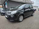 fiat-panda-iii-1-0-firefly-hybrid-s-s-70cv