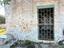 Immagine 7