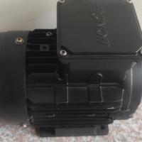 motore elettrico 220/380