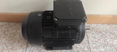 motore elettrico 220/380