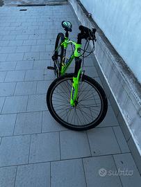 Bicicletta a marce