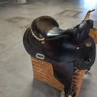 Sella americana Billy Cook