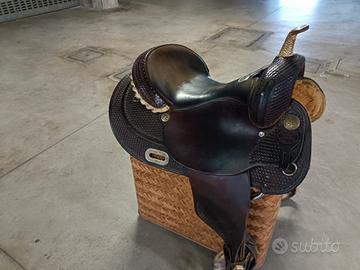 Sella americana Billy Cook