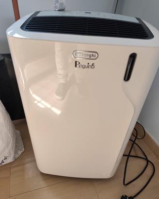 Pinguino  DeLonghi 