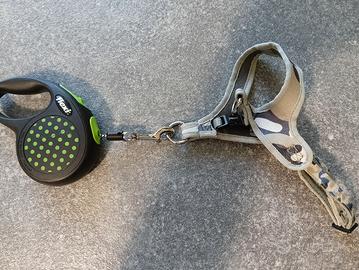 guinzaglio gatto o cane