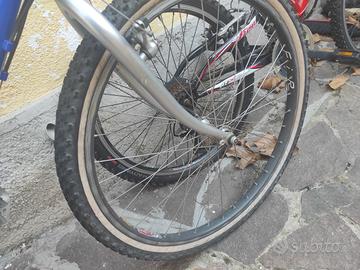 Bicicletta uomo