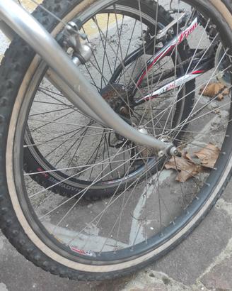 Bicicletta uomo