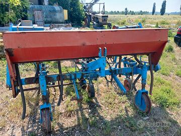 sarchio mais