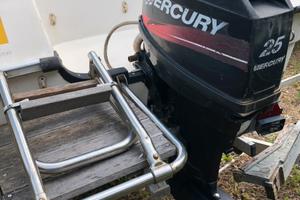 Motoscafo con motore 25cv