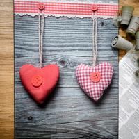 Copri fornelli Wenko 30x52cm