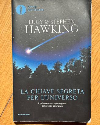 La chiave segreta per l’universo