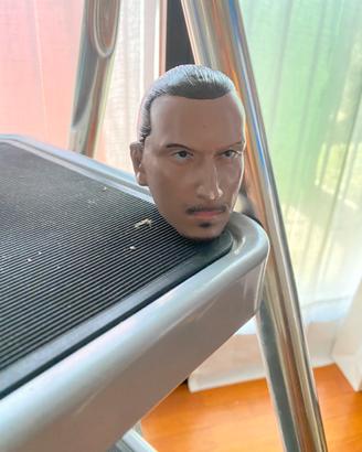 Testa Ibrahimovic