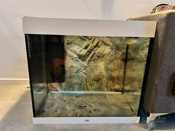 Acquario juwel lido bianco led