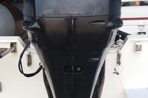 Ricambi Suzuki 115/140 CV