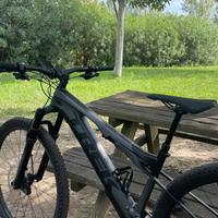 mtb trek e-caliber 9.6