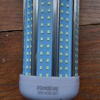 LAMPADE UV