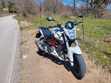 benelli bn 251 2018 