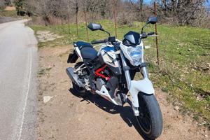 benelli bn 251 2018 