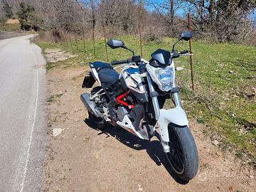 benelli bn 251 2018 