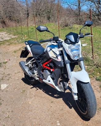 benelli bn 251 2018 