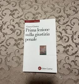 Prima lezione sulla giustizia penale