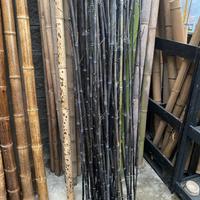 Canne bambù scure, colore naturale ebano