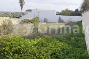 Terreno Residenziale Collepasso