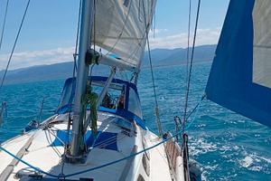 Barca a vela, armato sloop