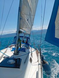 Barca a vela, armato sloop