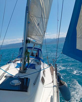 Barca a vela, armato sloop
