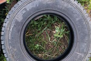 Pneumatici ricoperti Lerma 195/80 R15 96T