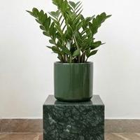 Piedistallo Cubico in Marmo Verde Alpi 25x25x25cm