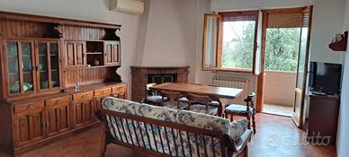 Senigallia app.to 2pianobalcone600m.mare/c