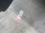 Immagine 12