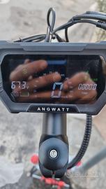 Mono pattino ANGWATT T1