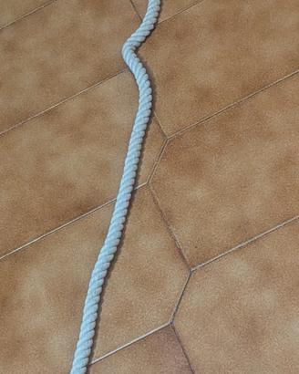 guinzaglio per cani di taglia media 