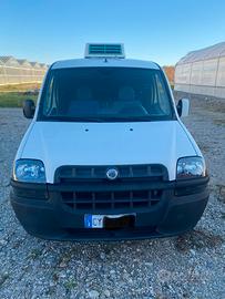 Fiat doblo cella frigo