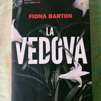 Fiona Barton, La vedova