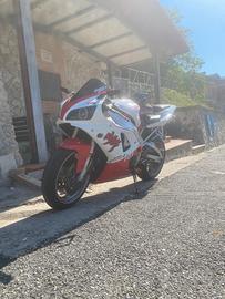 Yamaha YZF R1 - 1998