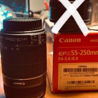 Canon EF-S 55-250 mm F4.0-5.6 IS