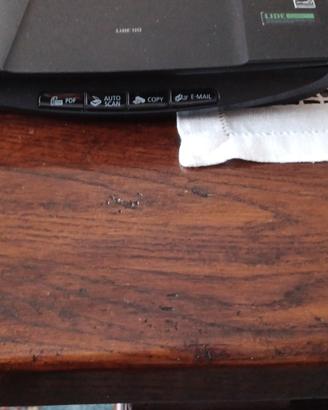 SCANNER CANON  LIDE 110
