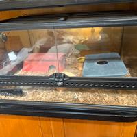 Terrario exoterra con termostato e tane