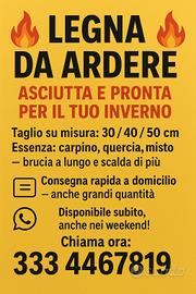 Legna secca per inverno