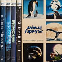 animali Superstar