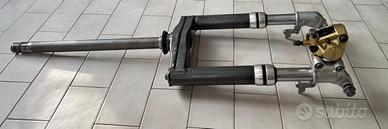 Forcella completa con pinza freno Brembo
